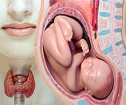 ormoni-tiroidei-feto