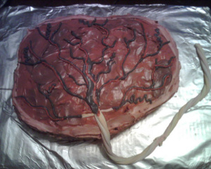 placenta-cake-3